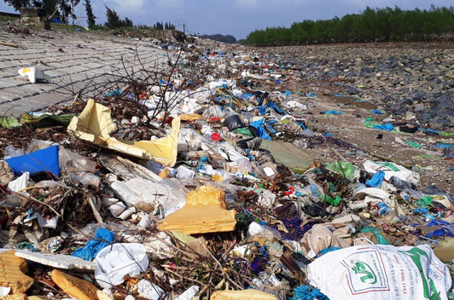 Thanh[-]Ho&aacute;:[-]Kinh[-]h&atilde;i[-]r&aacute;c[-]thải[-]quấn[-]chặt[-]c&acirc;y[-]rừng[-]ph&ograve;ng[-]hộ[-]ven[-]biển